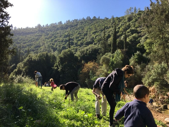 תמונת מופע: מלקטים ומבשלים בטבע &ndash; חוויה משפחתית במגידו